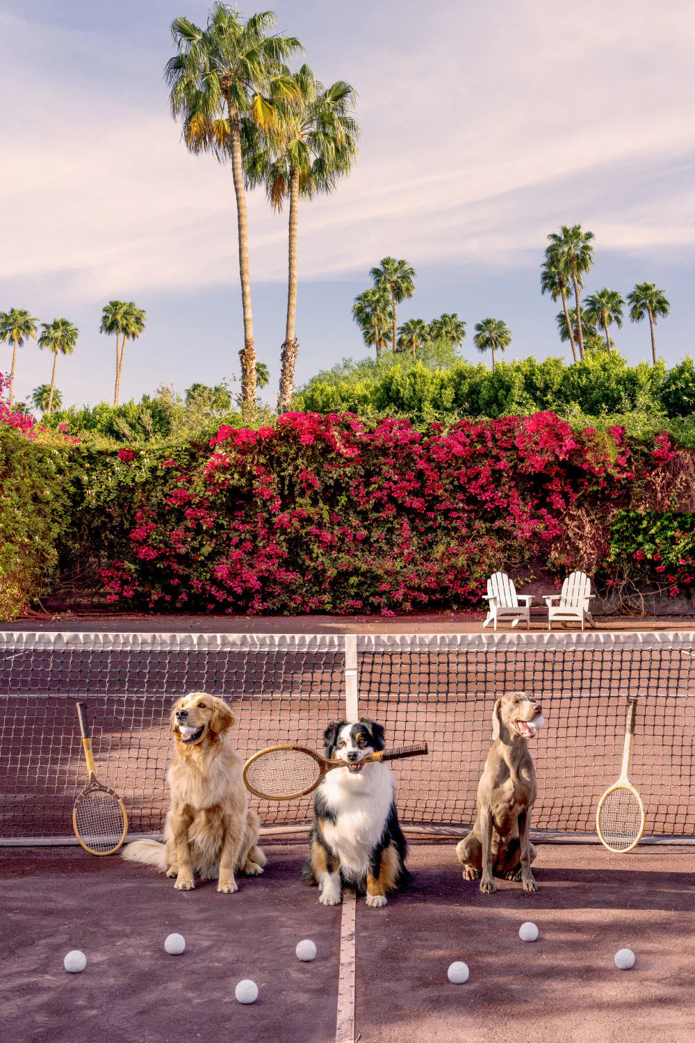 Tennis Match, Parker Palm Springs by Gray Malin